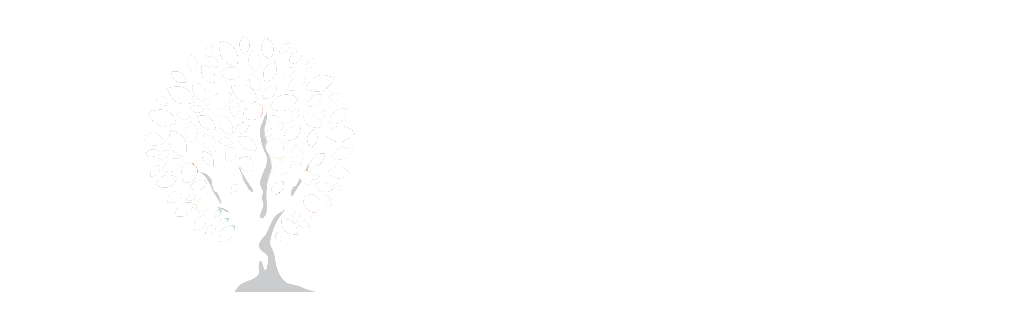 JM Okwara Foundation